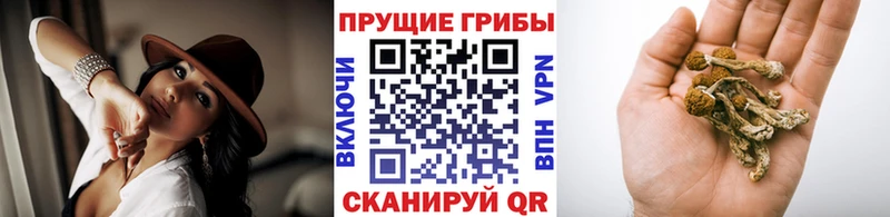 Псилоцибиновые грибы мухоморы Березники