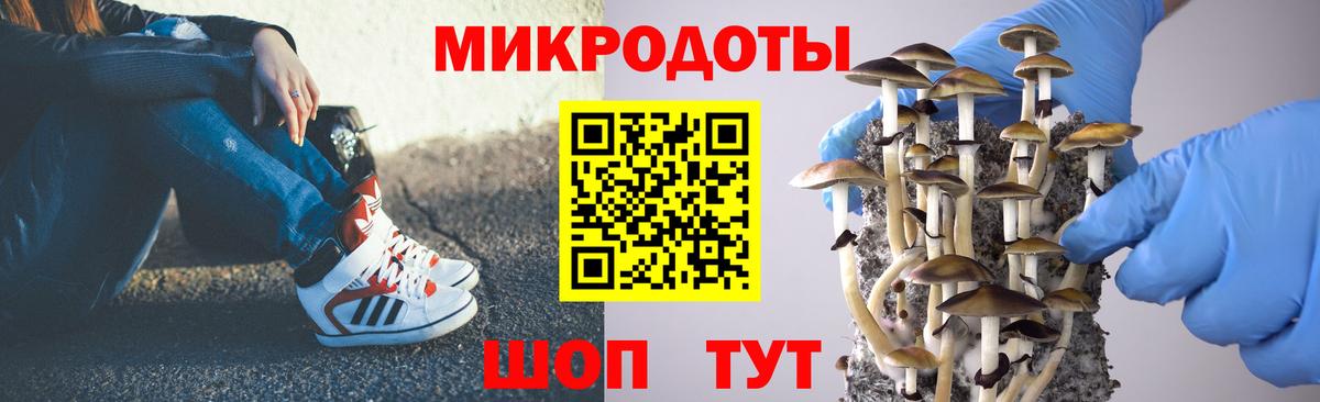 Галлюциногенные грибы Psilocybe  Вход с VPN  где купить наркоту  Березники 